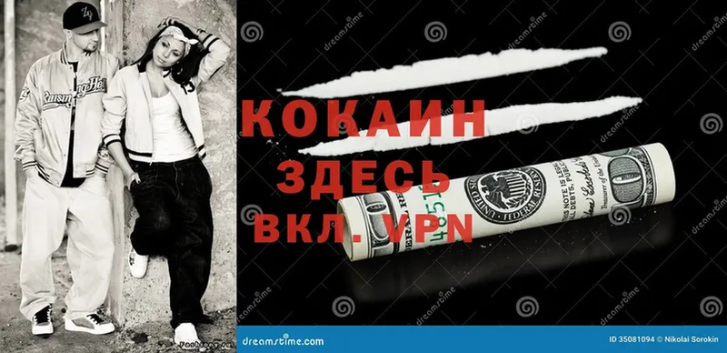 где купить   Бийск  COCAIN Columbia 